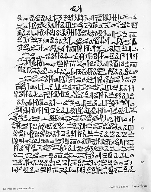 Egyptian hieratic